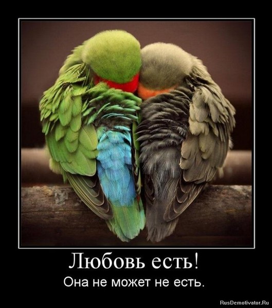 http://content.foto.mail.ru/bk/anteika/128/s-139.jpg