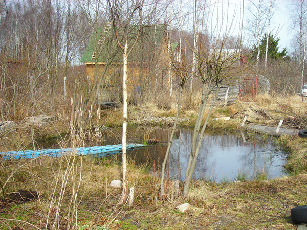 Картинка с форума