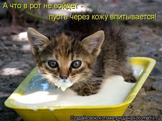 http://content.foto.mail.ru/bk/ekaterina_zueva/_myphoto/i-22.jpg