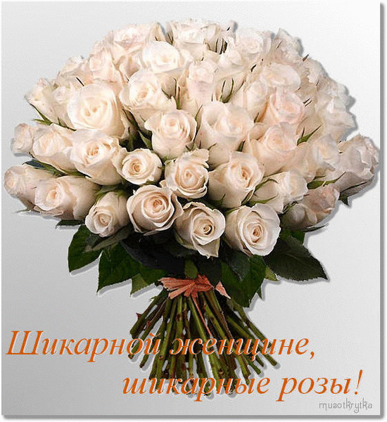 http://content.foto.mail.ru/bk/revina87/_blogs/i-77.jpg