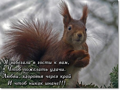 http://content.foto.mail.ru/bk/timoti_66/_blogs/i-25489.jpg
