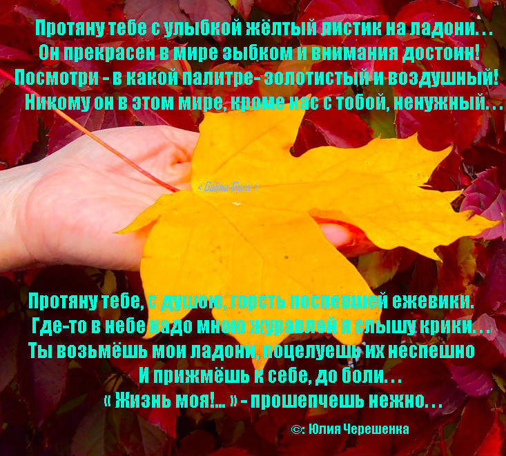 http://content.foto.mail.ru/community/dladuhi/_groupsphoto/h-1863.jpg