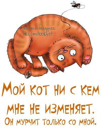 от ·.★SOLOMONы★.· {итоги июля} от ·.★SOLOMONы★.· {итоги июля}