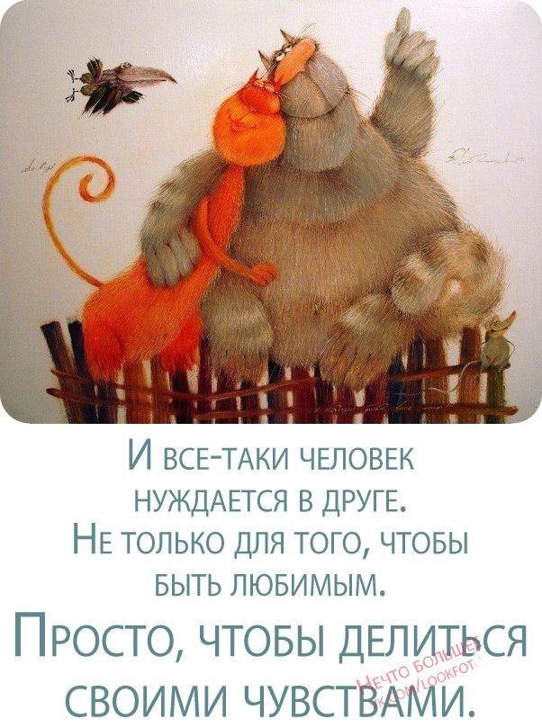 от ·.★SOLOMONы★.· {итоги июля} от ·.★SOLOMONы★.· {итоги июля}