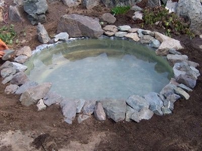 Водоем из покрышки фото Водоем из покрышки фото