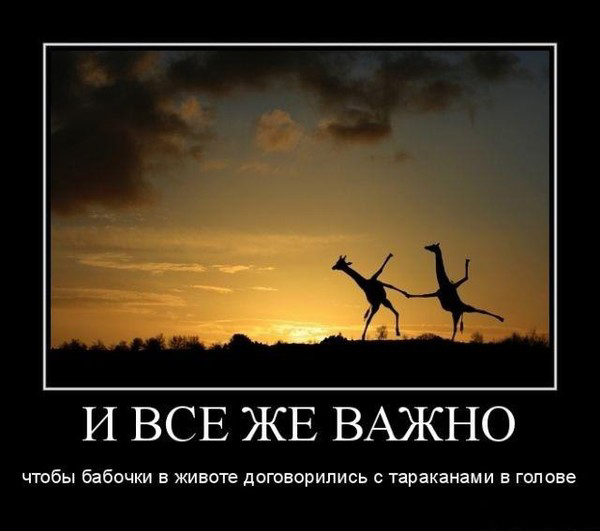 Что такое "бабочки в животе". Значение слова бабочки в животе, википедия, толкование