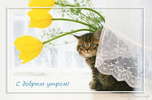 http://content.foto.mail.ru/inbox/wasile/3d-galleru.ru/s-43132.jpg