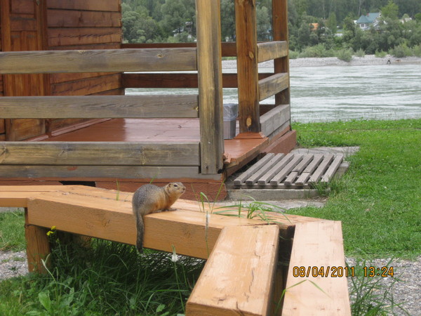 Маня – королева бала …