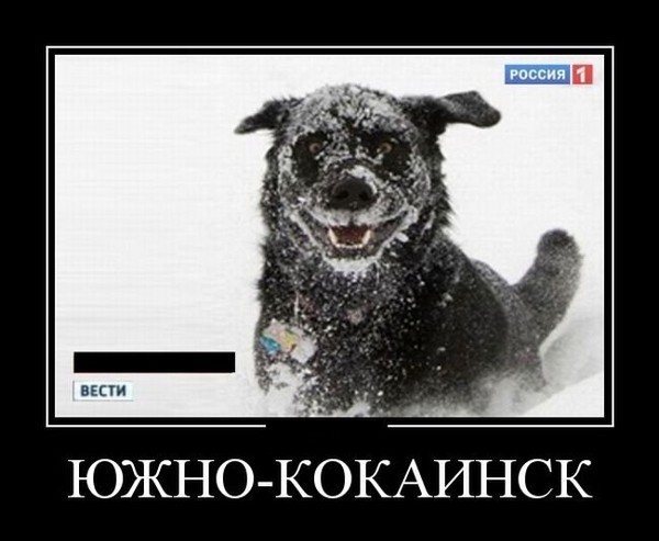 http://content.foto.mail.ru/list/karambaev/_myphoto/s-245.jpg