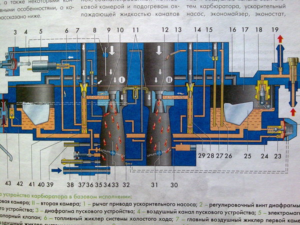 IPB Image