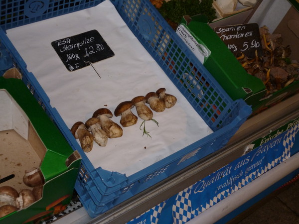 Белые грибы из ЮАР