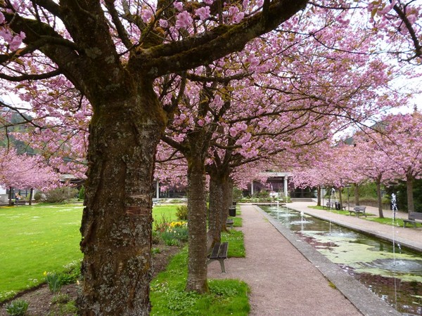 Kurpark