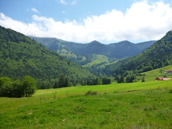 Зелено