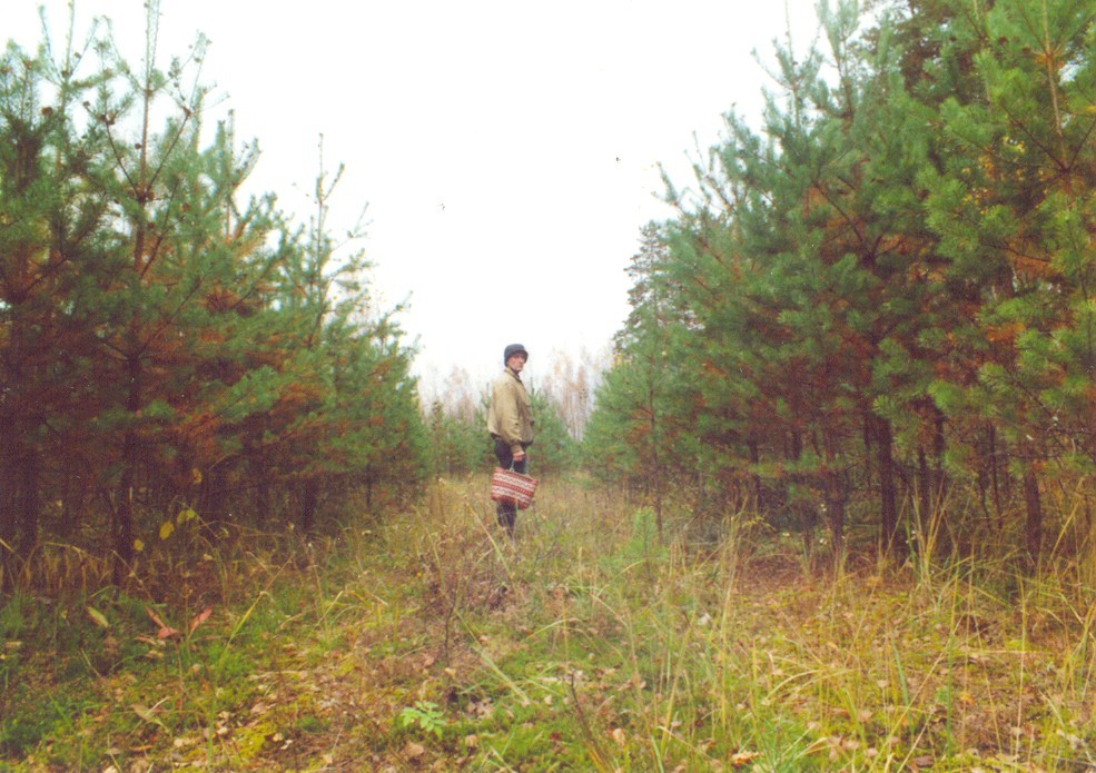 s-299.jpg