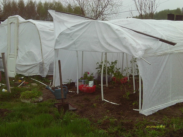 Вести с полей, садов и огородов-2012 - Страница 5 I-40