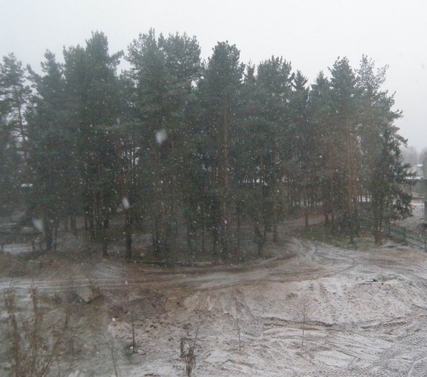 Снегопад, Минск, 31 декабря 2011
