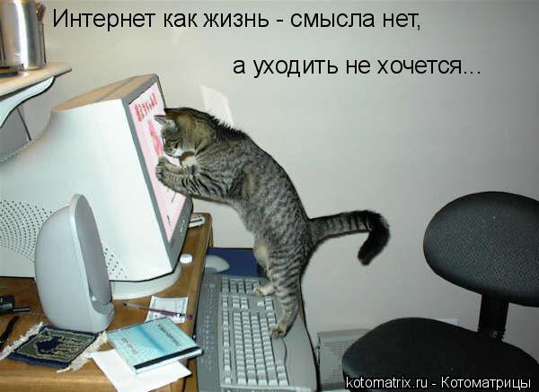 И юмор лучший сайт знакомств и развлечений И юмор лучший сайт знакомств и развлечений