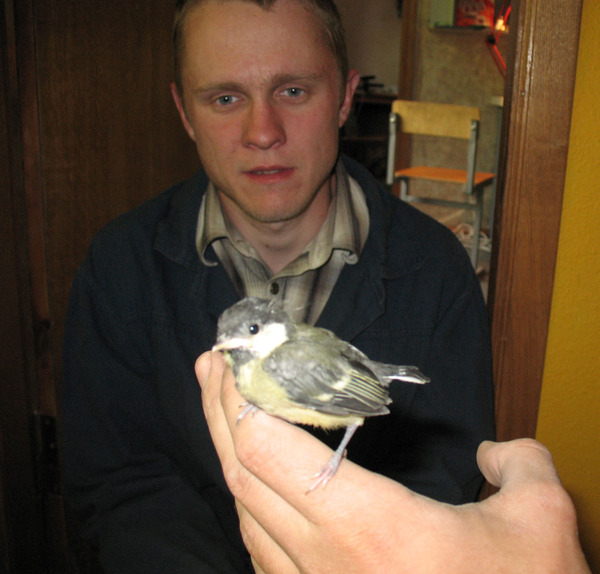 Зображення