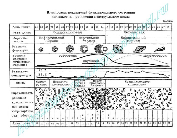 Если болит левая лопатка и ноет левая рука
