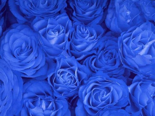 http://content.foto.mail.ru/mail/alfey6188/_guestbook/i-292.jpg