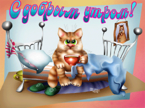 Просмотров: 4. EXIF. Программа: Adobe Photoshop CS4 Windows.