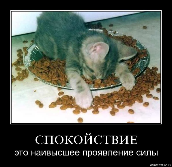 Размещенное изображение