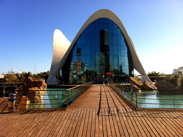 valencia cuidad de las artes y las ciencias 2011 валенсия город исскуств и науки