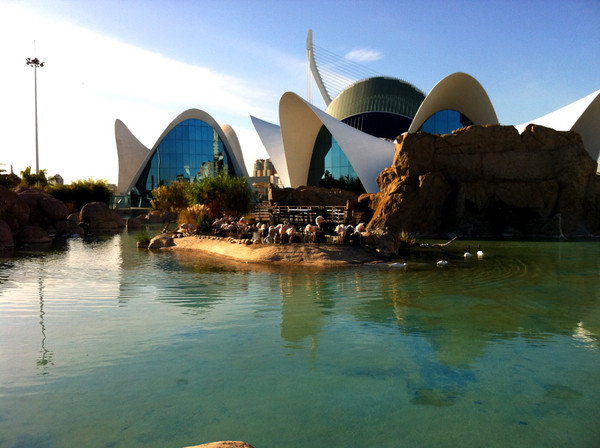 valencia cuidad de las artes y las ciencias 2011 валенсия город исскуств и науки