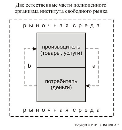 Саморегулирование на финансовом рынке