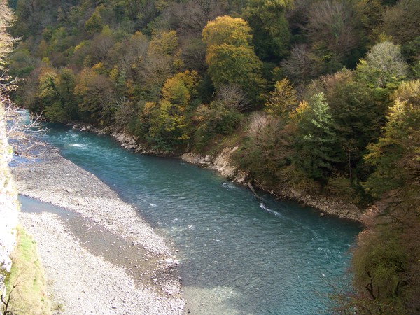 Кодор