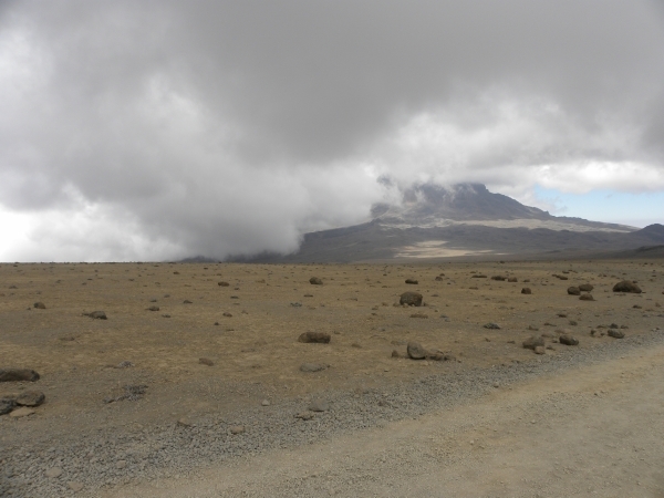 Килиманджаро, Момбаса, next stop is hell