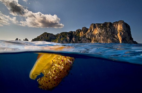 http://content.foto.mail.ru/mail/deimant/_blogs/i-854.jpg