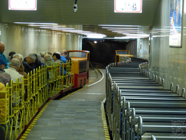 i-1310.jpg