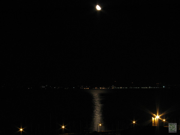 i-1082.jpg