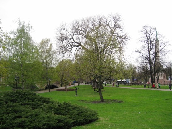 i-3985.jpg