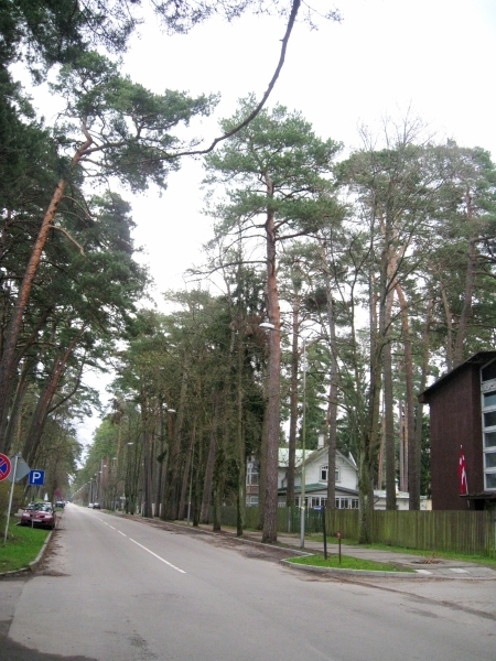 i-3668.jpg