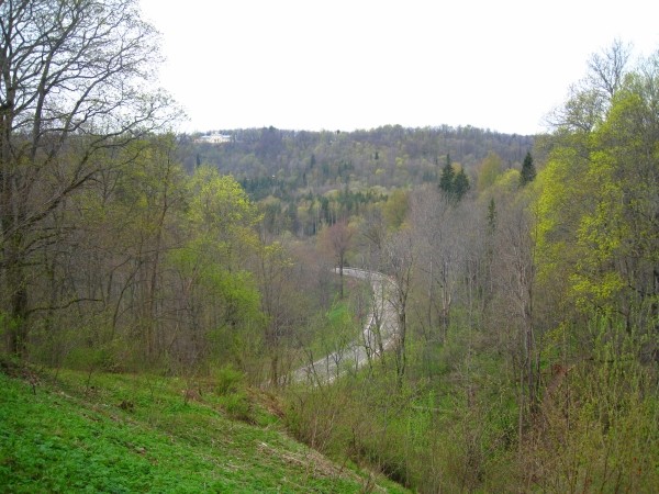 i-3686.jpg