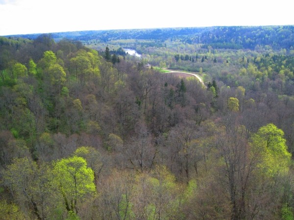i-3714.jpg