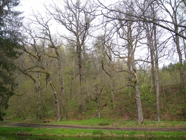 i-3635.jpg