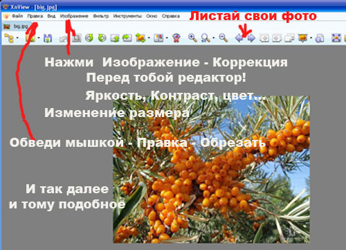 Какую лучше скачать программу для просмотра фотографий и где. Заранее