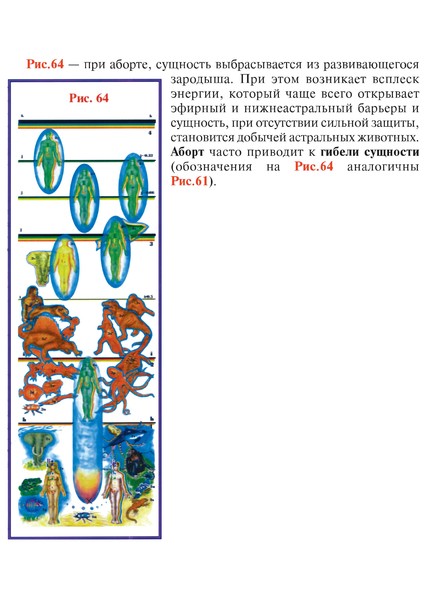 Рис 64 с опис.