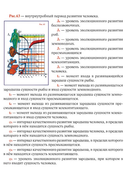 Рис 63 с опис.