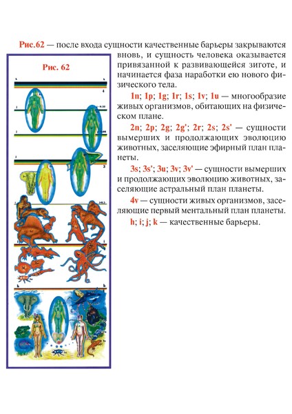 Рис 62 с опис.