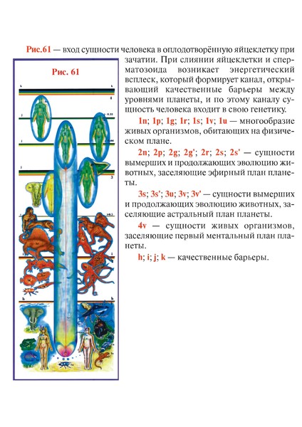 Рис 61 с описанием