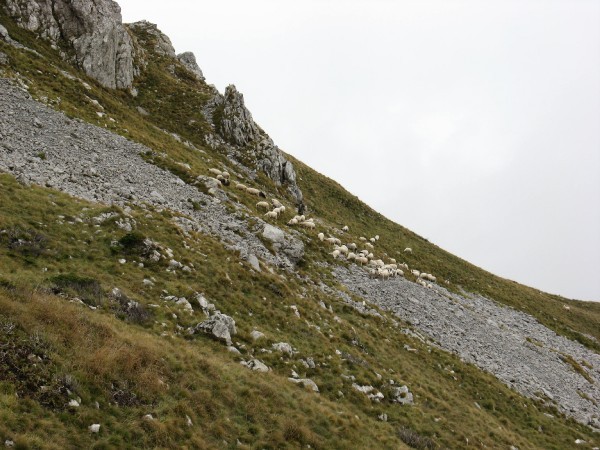 Хоббиты в поисках горных негров (Черногория, Сербия, Босния)