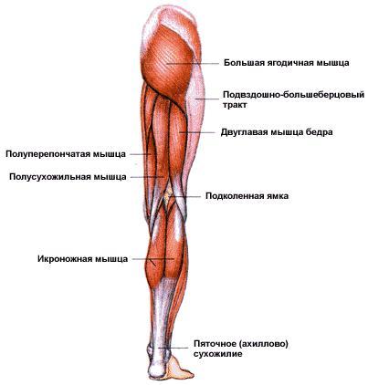 упражнения чтоб убрать жир с боков упражнения чтоб убрать жир с боков
