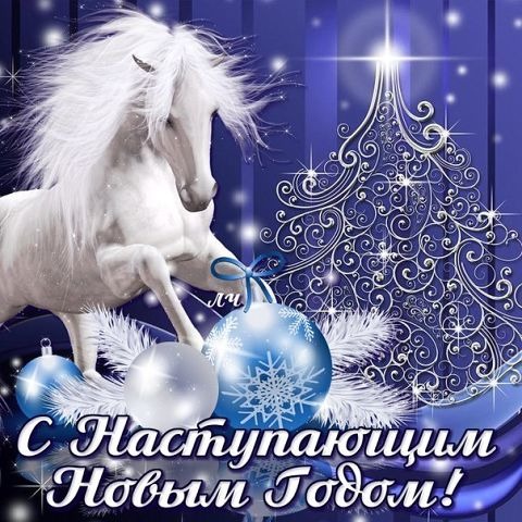 http://content.foto.mail.ru/mail/extremflyjumper/245/s-6998.jpg