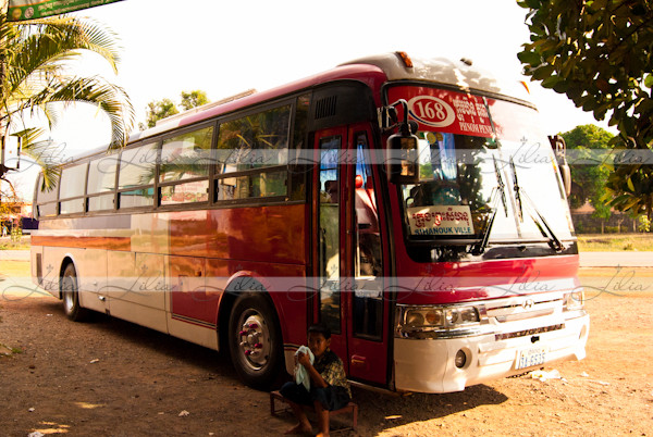 Автобусное сообщение: автобус компании Sorya