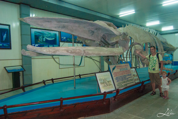 Нячанг, Океанографический музей