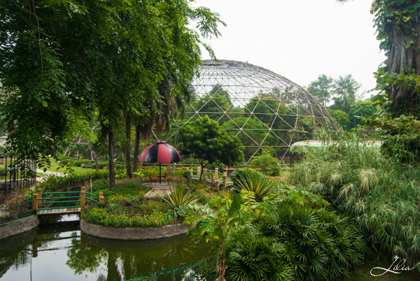 Джакарта, TMII Museum: парк птиц